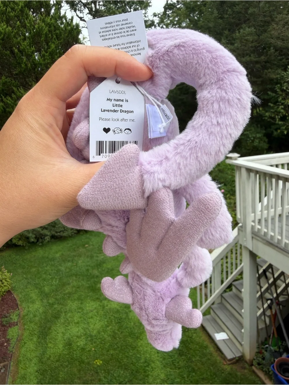 Lavender Dragon size little
